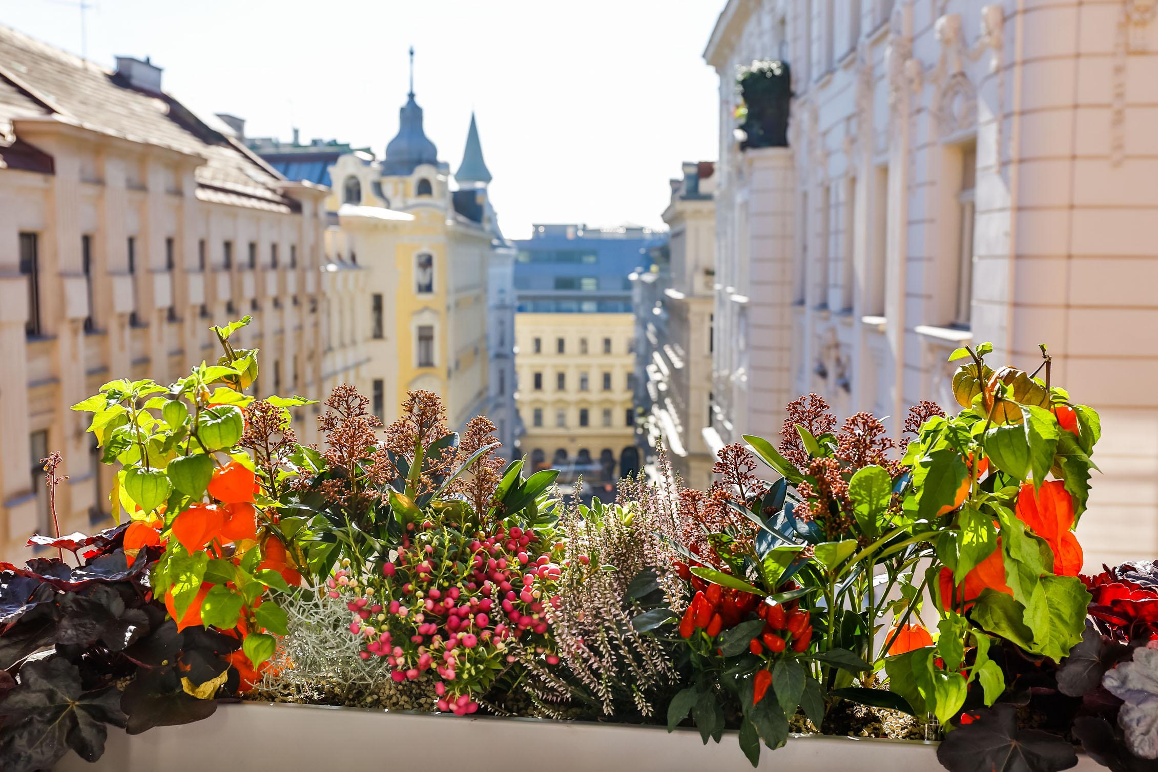 Boutiquehotel Das Tyrol Vienna Esterno foto